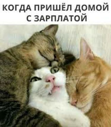 КОГДА пришёл домой с здрплдтой
