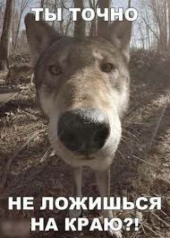 я не ложи 9653 НА крдщ