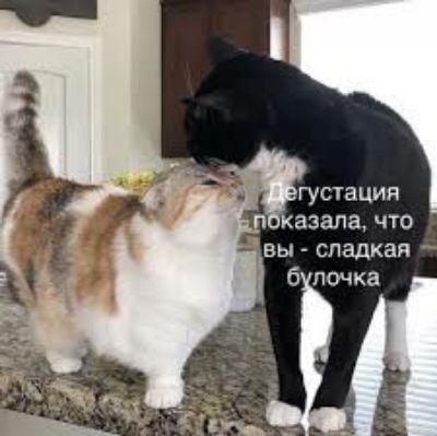 ГУСТЗЦИЯ казапа что вы сладкая б почка