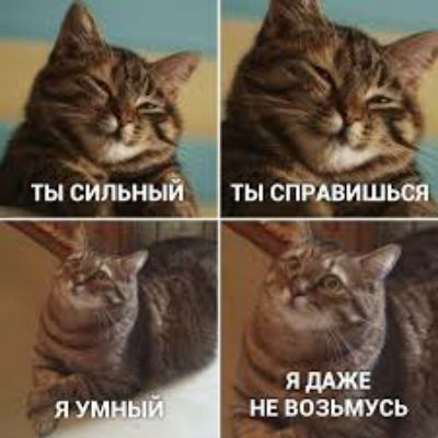 ты 5555 не возыйусь