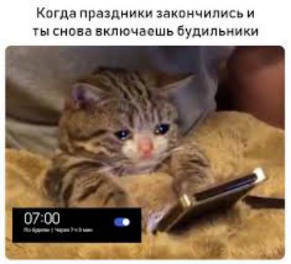 Когда праздники закончились и ты снова включаешь будильники