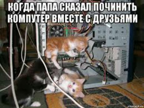 иргддТпппдтещш дцп чТиить НППППЩШИЕ 0150 ПРЕМИИ
