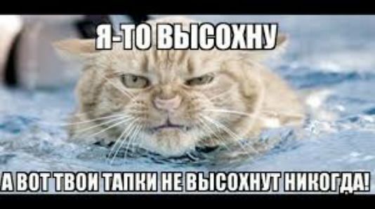 ЩШЕШШШШЕ
