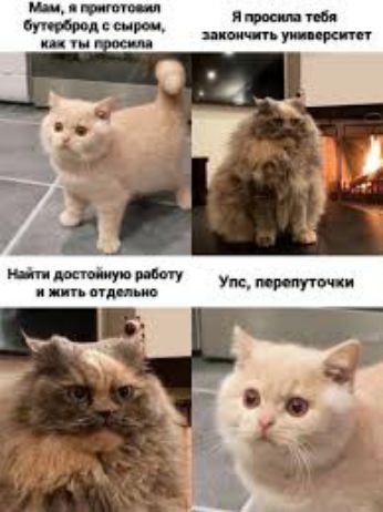 нц р ми ___ пиши по ио п уши рип нт шщю могу инь иди ио