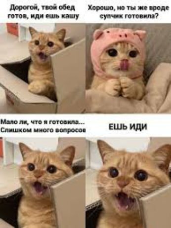 Ми ім пм ти или шь ши сут ниш г