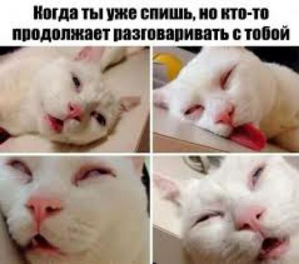 П СШШЪ 0 ЦТПЮ модницам напиши пп 0 Мій і Р нь