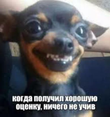 поща пом ип моими шапку так