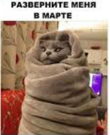 РЮМРНИТ МЕНЯ В Т