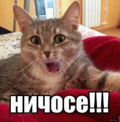 _ ничосе