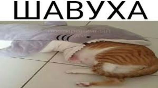 ШАВУХА