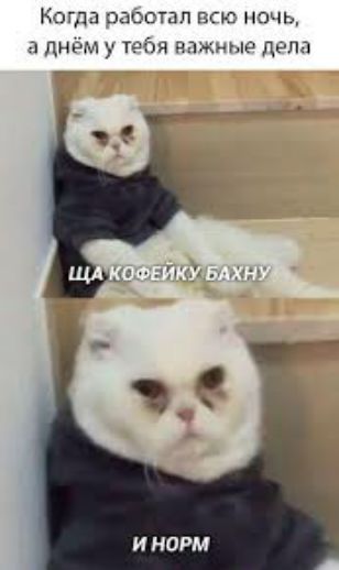 Ьпа оашстал пп нами дя админ пела