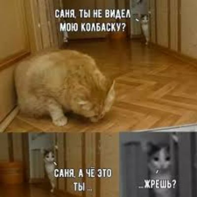 т