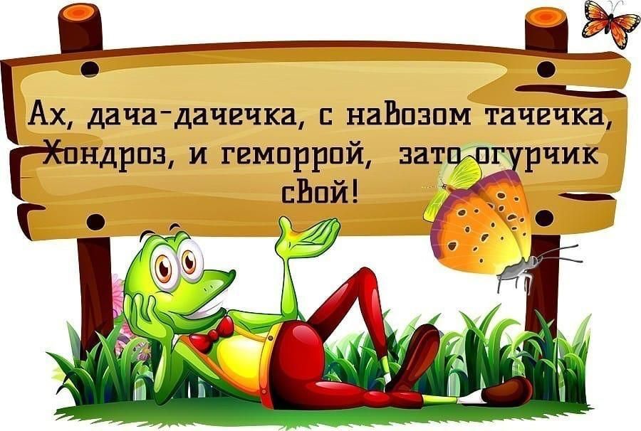 __ Ах ДачаДачвчка НЗЬПЗПМ ТЕЧЕЧКЗ пндрпз и геморрой затцшг рчик