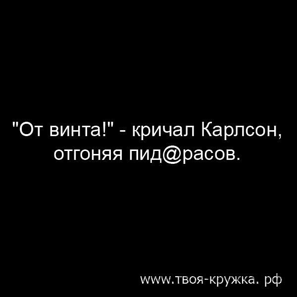 От винта кричал Карлсон отгоняя пидрасов шшштвоя кружка рф