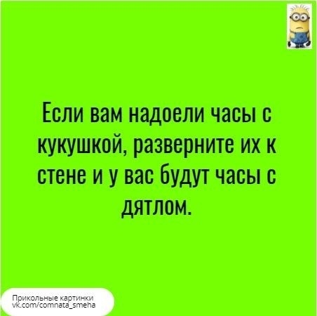 д Если вам надоели часы с кукушкой разверните их к стене и у вас будут часы дЯТЛОН