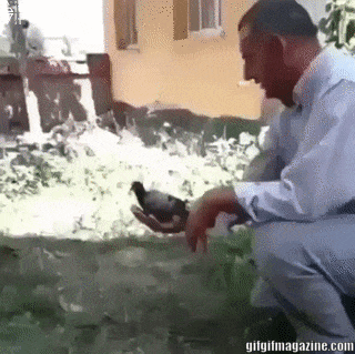 шшшппиишшспш