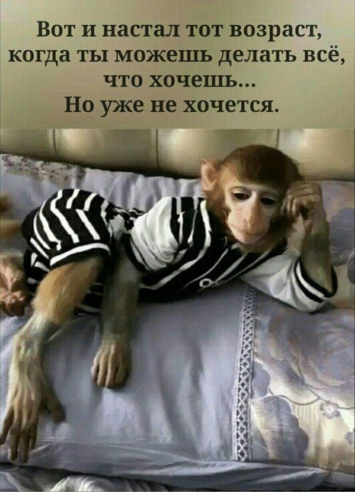 Вот и настал тот возраст когда ты можешь делать всё что хочешь Но уже не хочется _ 1