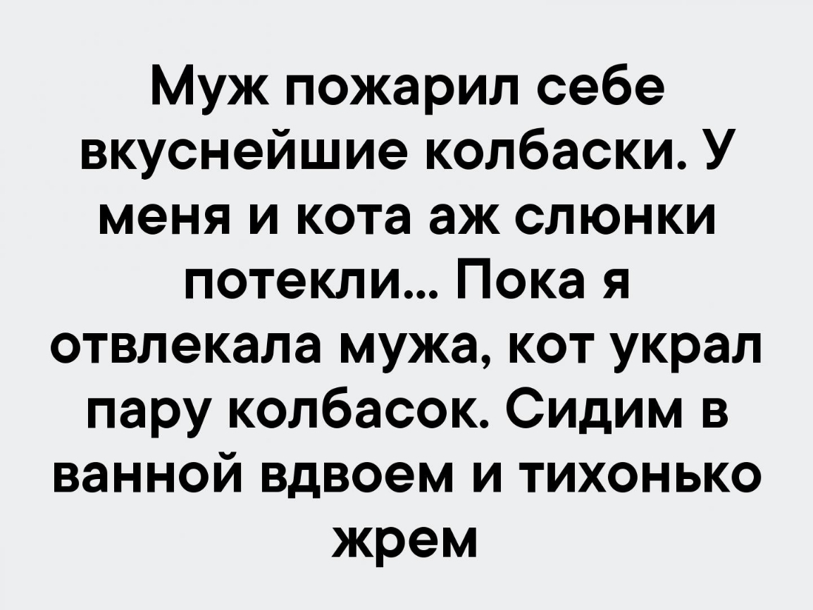 Муж пожарил себе вкуснейшие колбаски У меня и кота аж слюнки потекли Пока я  отвлекала мужа кот украл пару колбасок Сидим в ванной вдвоем и тихонько  жрем - выпуск №175120