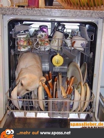 _теЬг аи шитдрозды