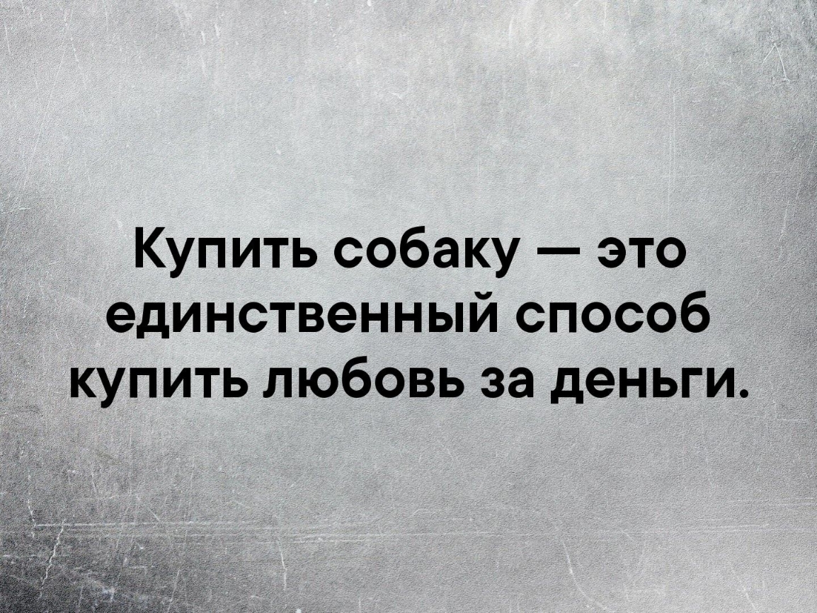 Купить собаку это единственный способ _ купить любовь за деньги