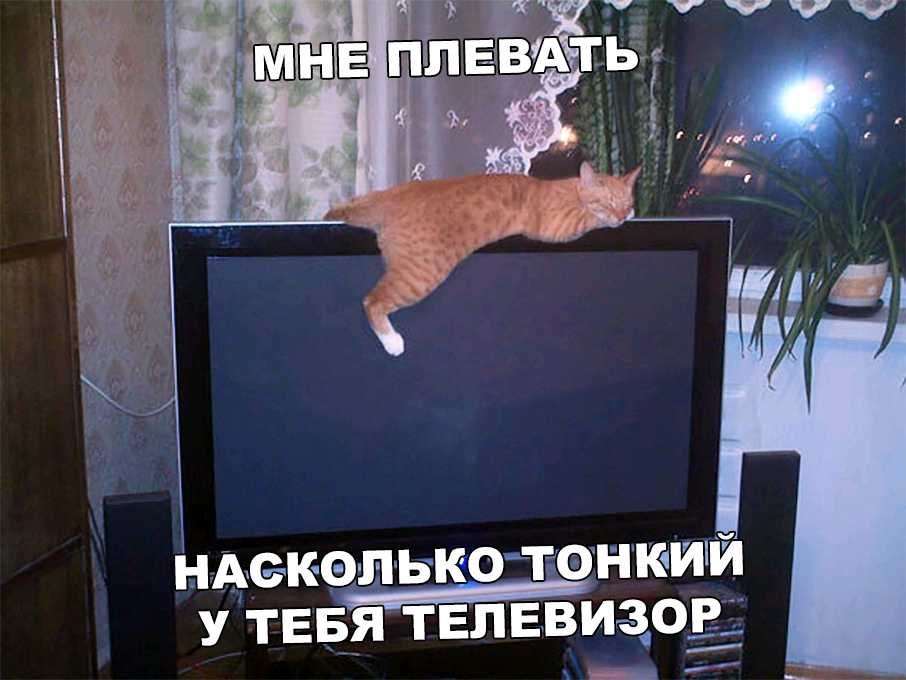 НАЭКОШВКОЪОНКИЙ У ТЕБЯ ТЕПЕВИЗОЁ__ЁД _в_