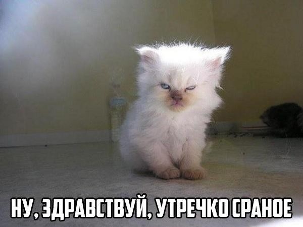 нпдмнпнуймрда _РАНПД
