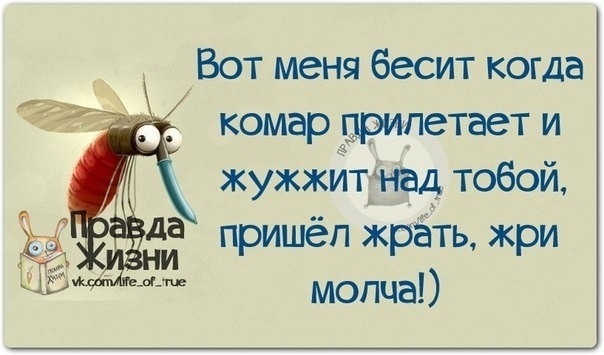 Вот меня бесит когда комар прилетает и жужжит над тобой молча