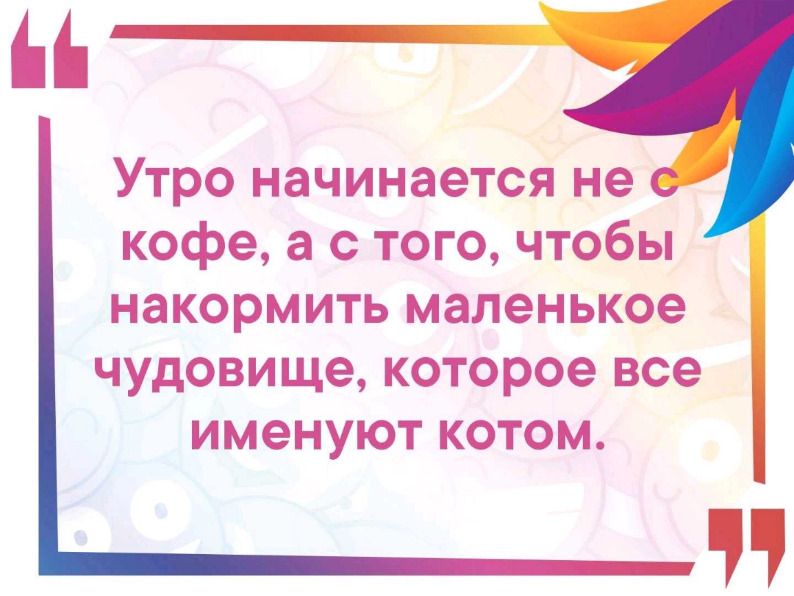 Утро начинается не кофе а с того чтобы накормить маленькое чудовище которое все именуют котом