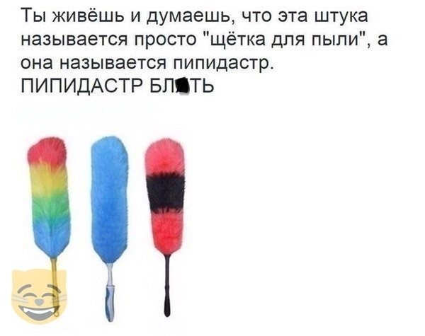 Ты живёшь и думаешь что эта штука называется просто щётка для пыли а она называется пипидастр ПИПИДАСТР БЛТЬ