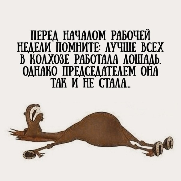 ПЕРЕД НАЧМОМ РАБОЧЕИ НЕМ АИ ПОМНИТЕ АУЧШЕ ВСЕХ В ВОАХОЗЕ РАБОТАМ АОШМЬ ОДНАКО ПРЕДСЕДАТЕАЕМ ОНА ТНВ И НЕ СММ