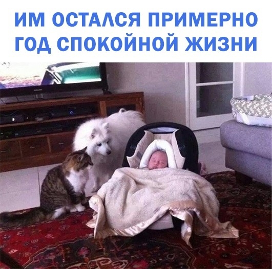 ИМ ОСТАСЯ ПРИМЕРНО ГОД СПОКОЙНОЙ ЖИЗНИ