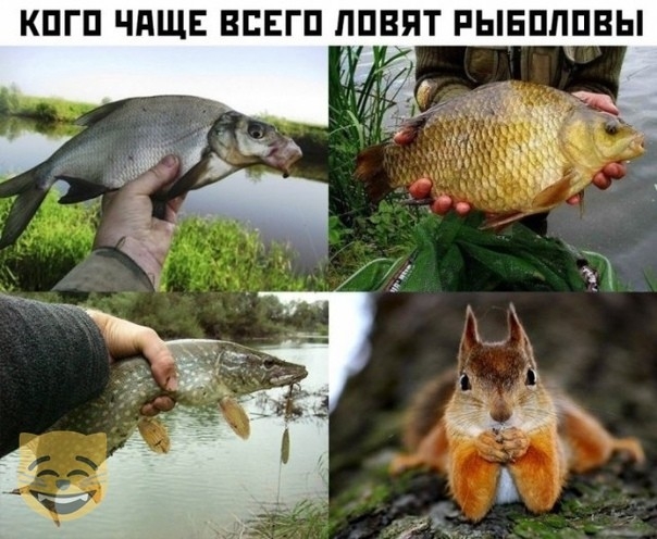 КПГП ЧАЩЕ ВСЕГП ЛПВЯТ РЫЕПЛПВЫ