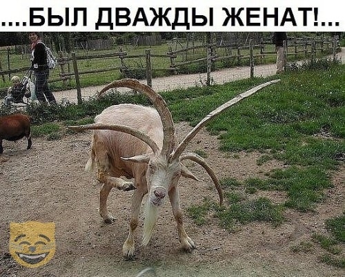 БЫЛ ДВАЖДЫ ЖЕНА Д