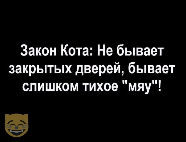 Закон Кота Не бывает закрытых дверей бывает слишком тихое мяу
