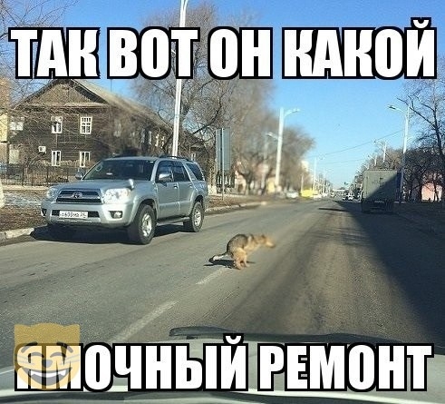 11 чііЁпидвЕмон