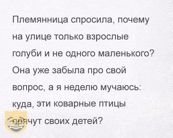 Племянница спросила почему на улице только взрослые голуби и не одного маленького Она уже забыла про свой вопрос а я неделю мучаюсь куда ЭТИ КОВЭРНЫЭ ПТИЦЫ чут своих детей