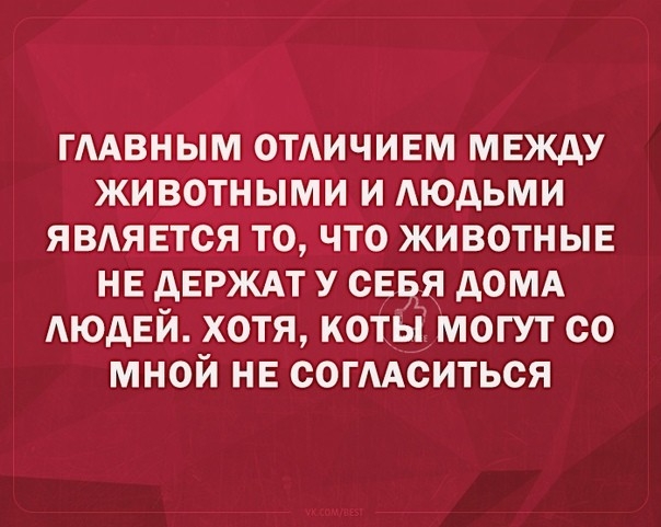 ГААВНЫМ ОТАИЧИЕМ МЕЖДУ ЖИВОТНЫМИ И АЮдЬМИ ЯВАЯ ЕТОЯ ТО ЧТО ЖИВОТНЫЕ НЕ дЕРЖАТ У СЕБЯ АОМА АЮДЕЙ ХОТЯ КОТЫ МОГУТ СО МНОЙ НЕ СОГААСИТЬСЯ