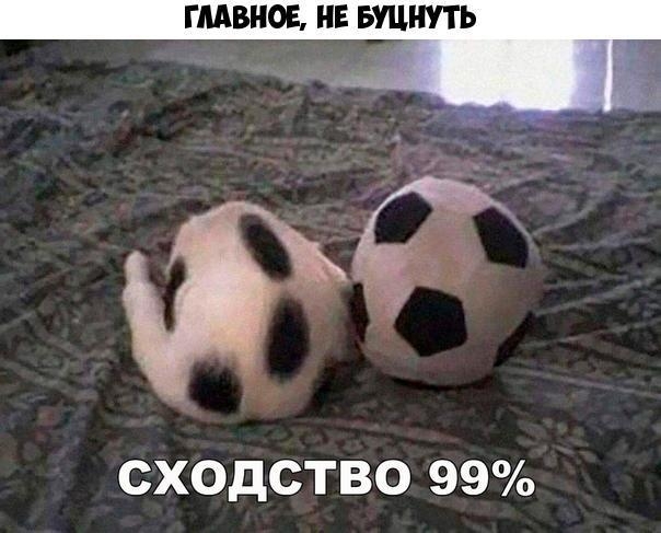 ГЛАВНОЕ НЕ БЩНУТЬ СХОДСТВО 99