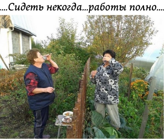 Сидеть некогдариботы полно а ы