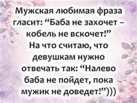 й Мужская любимая фраза гласит Баба не захочет кобель не вскочет На что считаю что девушкам нужно отвечать так Налево баба не пойдет пока мужик не доведет 2