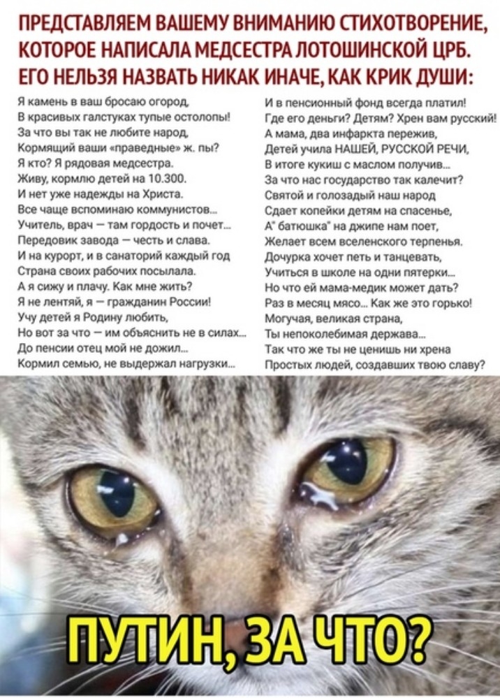 ПРЕДСТАВЛЯЕМ ВАШЕМУ ВНИМАНИЮ СТИХОТВОРЕНИЕ КОТОРОЕ НАПИСАЛА МЕДСЕСТРА ЛОТОШИНСКОЙ ЦРБ ЕГО НЕЛЬЗЯ НАЗВАТЬ НИКАК ИНАЧЕ КАК КРИК ДУШИ Я камень в ваш бросаю огород В красивых галстуках тупые остолопы За что вы так не любите народ Кормящий ваши праведные ж пы Я кто Я рядовая медсестра Живу кормлю детей на 10300 Инет уже надежды на Христа Все чаще вспоминаю коммунистов Учитель врач там гордость и почет 