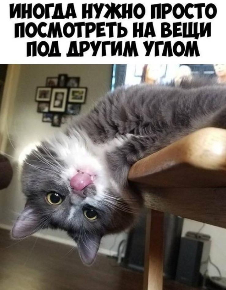 ИНОГДА НУЖНО ПРОСТО ПОСМОТРЕТЬ НА ВЕЩИ ПОД АРУГИМ УГАОМ