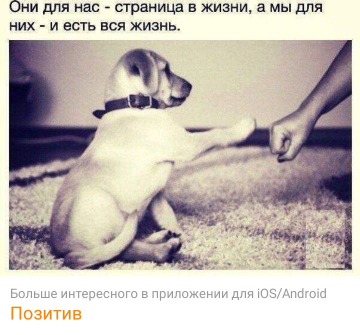 Они для нас страница в жизни а мы для них и есть вся жизнь зла в ир Жг НИИ ЦПП іі