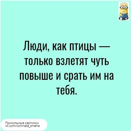 Люди как птицы только взлетят чуть повыше и срать им на тебя
