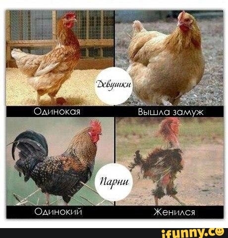 О нокя М