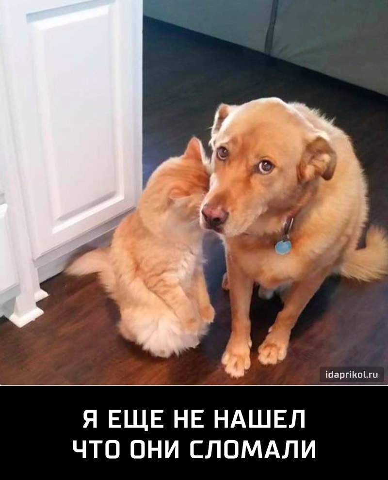Я ЕЩЕ НЕ НАШЕЛ ЧТО ОНИ СЛОМАЛИ