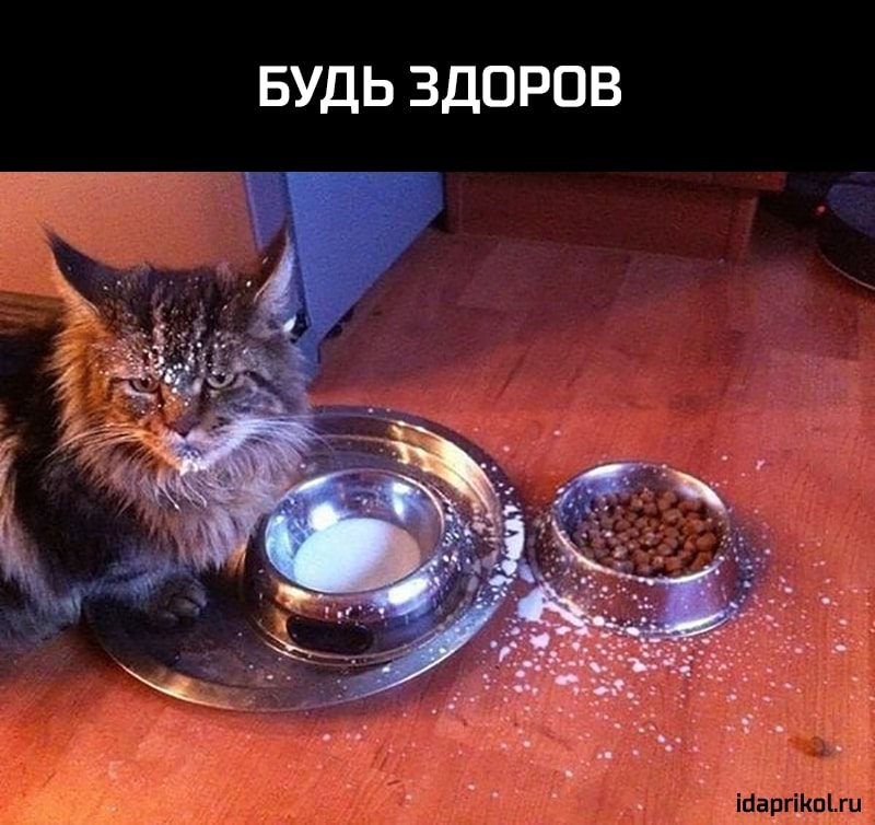 БУДЬ ЗДОРОВ
