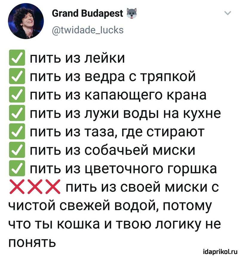 сгапа Виаарезі Мібасіедисйз пить из лейки пить из ведра с тряпкой пить из капающего крана пить из лужи воды на кухне пить из таза где стирают пить из собачьей миски пить из цветочного горшка ХХХ пить из своей миски с чистой свежей водой потому что ты кошка и твою логику не понять іааргіКпіш
