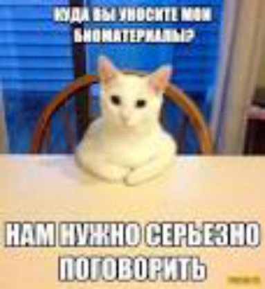 ШШШЩЭ