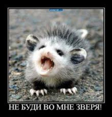 НЕ БУДИ ВО МНЕ ЗВЕРЯ